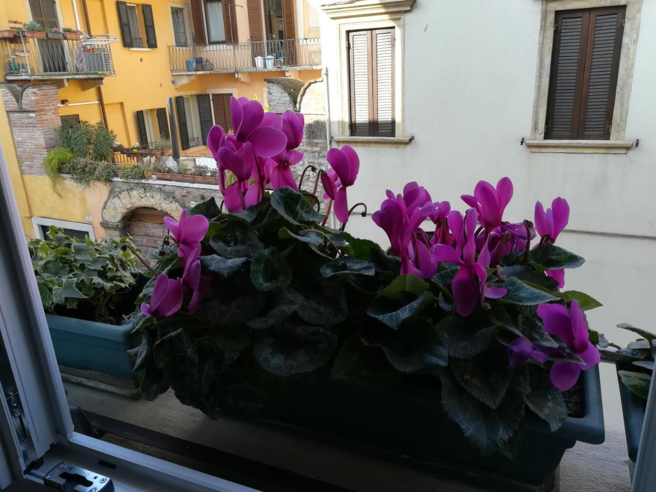 A Casa Di Luca Hotell Verona Exteriör bild